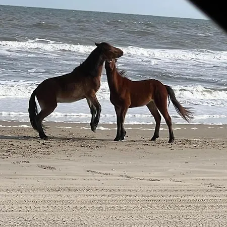 Wild Horse Inn